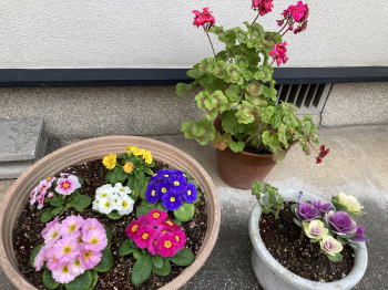 �����񍐎ʐ^